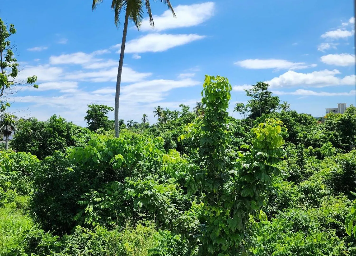 Bella Villa Roomy Apartment At 5 Min Walk To The Beach Las Galeras 0*,