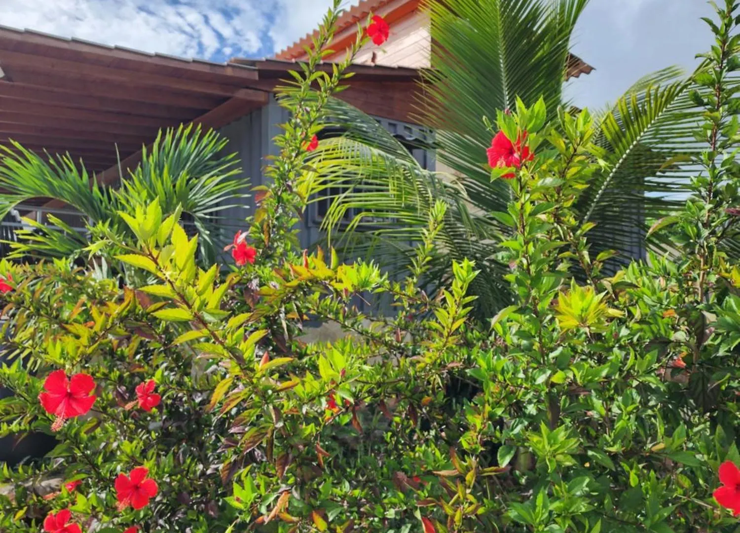 Bella Villa Roomy Apartment At 5 Min Walk To The Beach Las Galeras República Dominicana